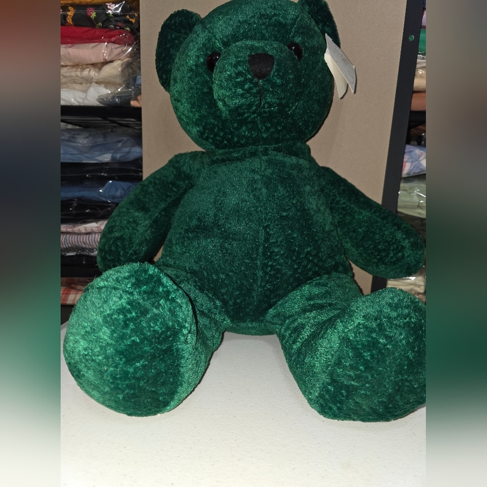 Green Stuffed Bear